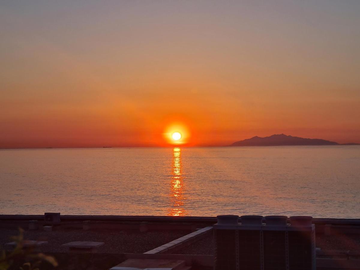 Corse, Residence Marina Di Bravone, Acces Direct Plage Linguizzetta Kültér fotó